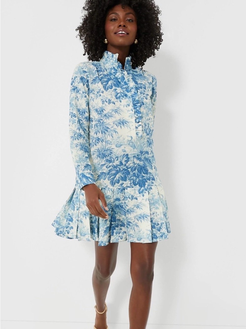 Tuckernuck Blue and White Floral Ruffle-Trim Long-Sleeve Mini Dress
